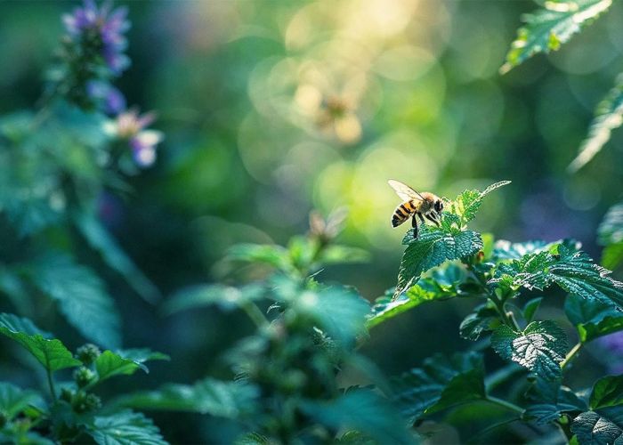 Swisscom KI-Workshop